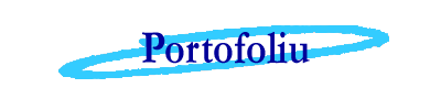 Portofoliu